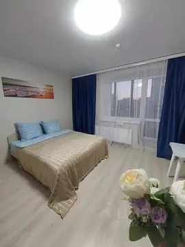 Студия Пермский край, Пермь ул. Анри Барбюса, 43к1 (28.0 м)