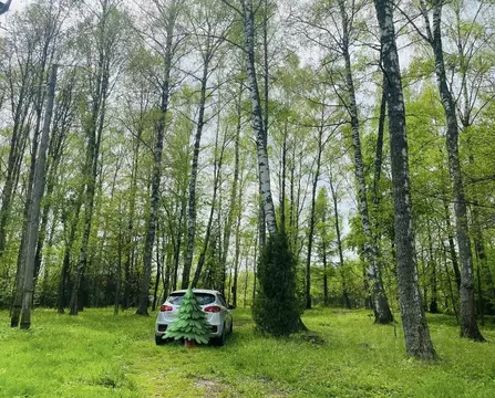 Дом в Владимирская область, Александровский муниципальный округ, ...