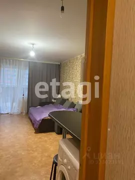 Студия Красноярский край, Красноярск Лесопарковая ул., 25 (26.9 м)