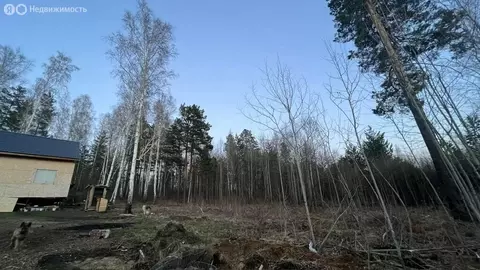 Участок в Иркутский муниципальный округ, деревня Новолисиха, посёлок ...