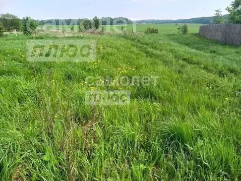 Участок в Вологодская область, д. Елгино  (8.1 сот.)