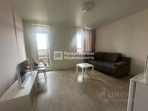 Студия Ленинградская область, Всеволожский район, д. Новое Девяткино ...