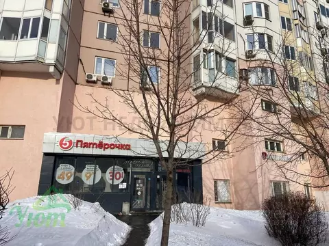 Помещение свободного назначения в Москва ул. Новинки, 1 (40 м)