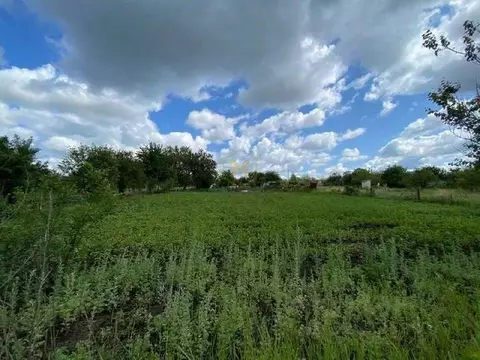 Участок в Белгородская область, Яковлевский муниципальный округ, с. ...