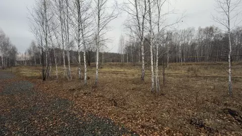 Участок в Челябинская область, Аргаяшский муниципальный округ, д. ...