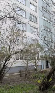 3-комнатная квартира: Санкт-Петербург, улица Дыбенко, 11к1 (54.8 м)
