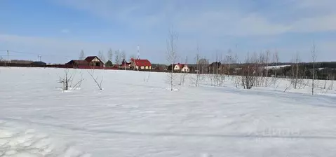 Участок в Московская область, Луховицы муниципальный округ, д. Берхино ...