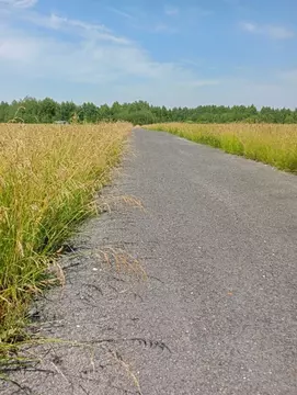 Участок в Владимирская область, Судогда ул. Ошмарина (12.0 сот.)