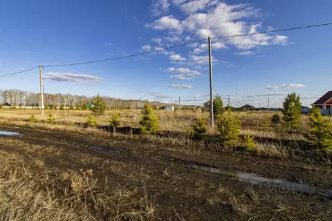 Участок в Тюменская область, Тюменский муниципальный округ, д. Елань, ...