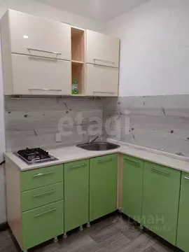 1-к кв. Красноярский край, Красноярск Черемушки мкр, ул. Бийская, 8 ...