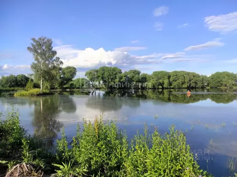 Участок в Владимирская область, Суздальский район, Селецкое ...