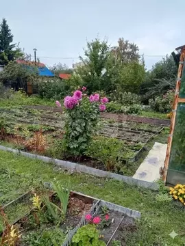 Дом в Тюменская область, Тюмень Плодовое СНТ, ул. Солнечная (20 м)