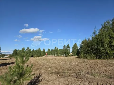 Участок в Тюменская область, Нижнетавдинский муниципальный округ, ...