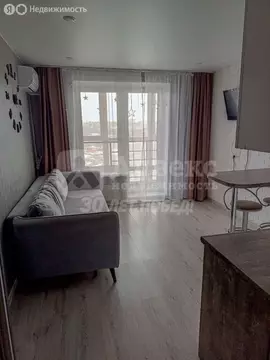 Квартира-студия: Тюмень, улица Тимофея Чаркова, 28 (20.8 м)