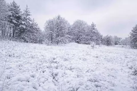 Участок в Московская область, Наро-Фоминский городской округ, д. ...