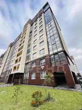 Студия Санкт-Петербург просп. Ветеранов, 169к3 (23.7 м)