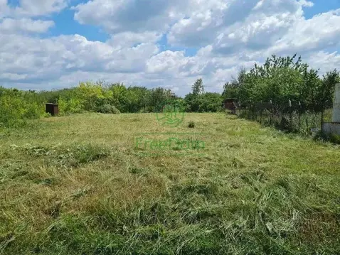 Участок в Белгородская область, Строитель Яковлевский городской округ, ...