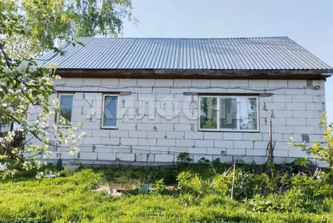 Дом в Новосибирская область, Новосибирск  (59 м)