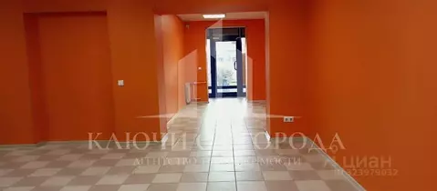 Торговая площадь в Санкт-Петербург просп. Просвещения, 30К1 (63 м)