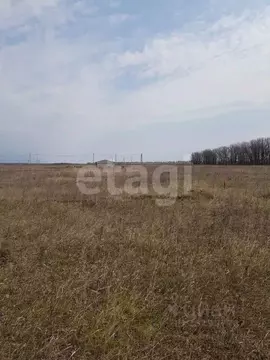 Участок в Липецкая область, Чаплыгин ул. Отрадная (10.0 сот.)