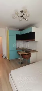 Студия Московская область, Ленинский городской округ, Дрожжино пгт ш. ...