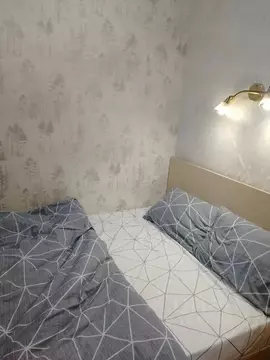 1-к кв. Тамбовская область, Мичуринск Полтавская ул., 68 (40.0 м)