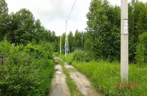 Участок в Тюменская область, Нижнетавдинский район, Лебедушка СПК ул. ...