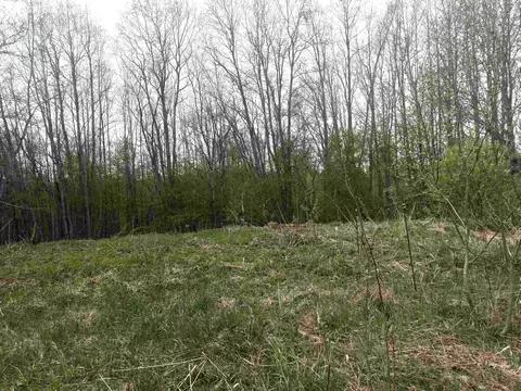 Участок в посёлок Новое Токсово, Новое Токсово-Парковая (6 м)