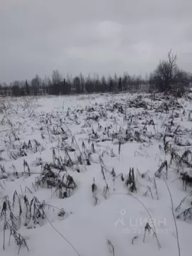 Участок в Вологодская область, д. Свободный Угол  (39.0 сот.)