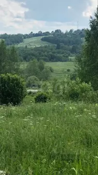 Участок в Владимирская область, Александровский муниципальный округ, ...