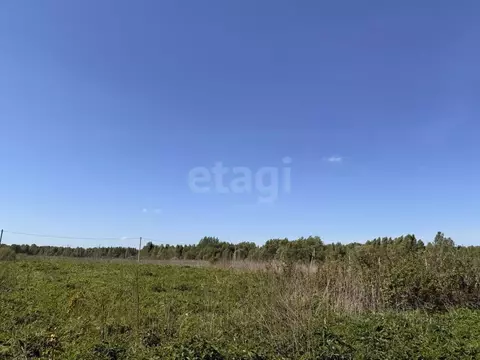 Участок в Смоленская область, Смоленский муниципальный округ, д. Рай ...