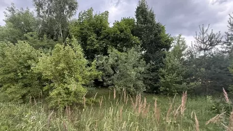 Участок в Московская область, Люберцы городской округ, Красково пгт, ...
