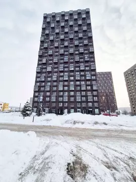 3-к кв. Нижегородская область, Нижний Новгород д. Утечино, ул. ...