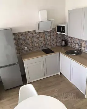 Студия Санкт-Петербург Кондратьевский просп., 68к4 (24.3 м)