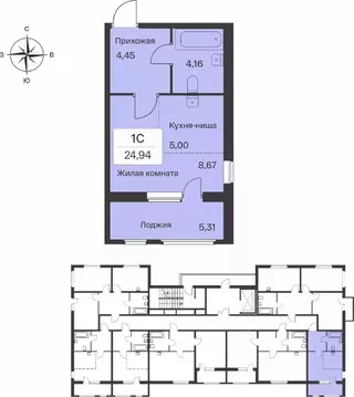 Студия Ленинградская область, Всеволожский район, Заневское городское ...