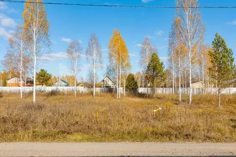 Участок в Тюменская область, Нижнетавдинский муниципальный округ, ...