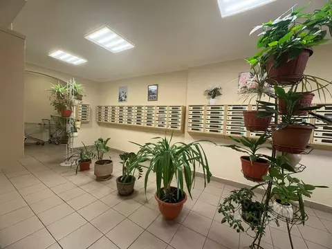 Квартира, свободная планировка, 44.2 м