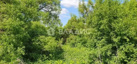 Участок в Воронежская область, Рамонский район, Яменское с/пос, д. ...