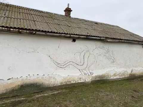 Дом в Калмыкия, Приютненский район, с. Воробьевка  (55 м)