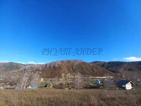 Участок в Алтай, Майминский район, с. Бирюля ул. Светлая, 61 (10.0 ...