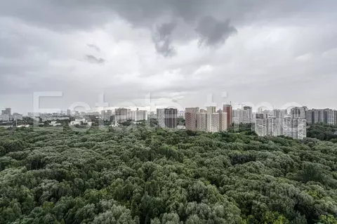 3-к кв. Москва Нежинская ул., 1к2 (128.0 м)