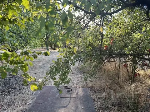 Участок в Крым, Симферопольский район, Б сектор 363 (8.0 сот.)