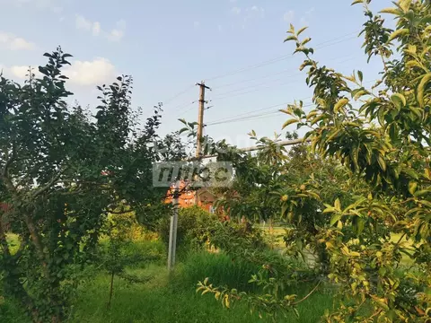 Участок в Адыгея, Тахтамукайский район, Энемское городское поселение, ...