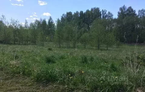 Участок в Омская область, Омский район, пос. Магистральный Молодежная ...