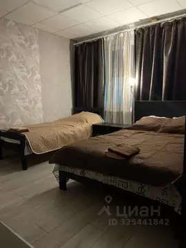 Студия Ленинградская область, Новая Ладога Волховский район, Северная ...