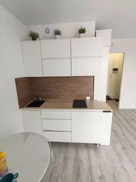 Студия Челябинская область, Челябинский городской округ, пос. Западный ...