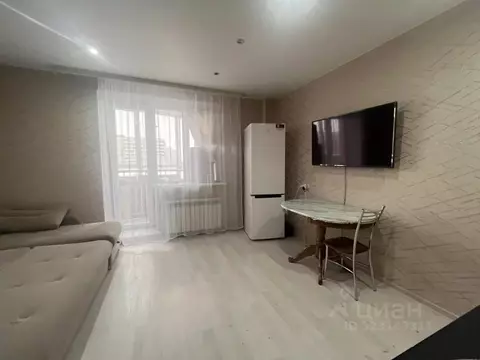 Студия Омская область, Омск ул. Мишина, 2 (27.0 м)