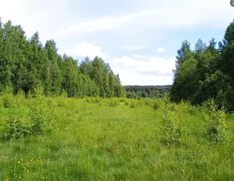 Участок в Ленинградская область, Выборгский район, Полянское с/пос, ...