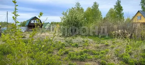 Участок в Новосибирская область, Бердск Вега-3 СНТ,  (5.1 сот.)