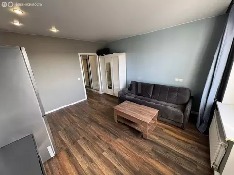 Квартира-студия: посёлок Шушары, Московское шоссе, 246 (25.3 м)